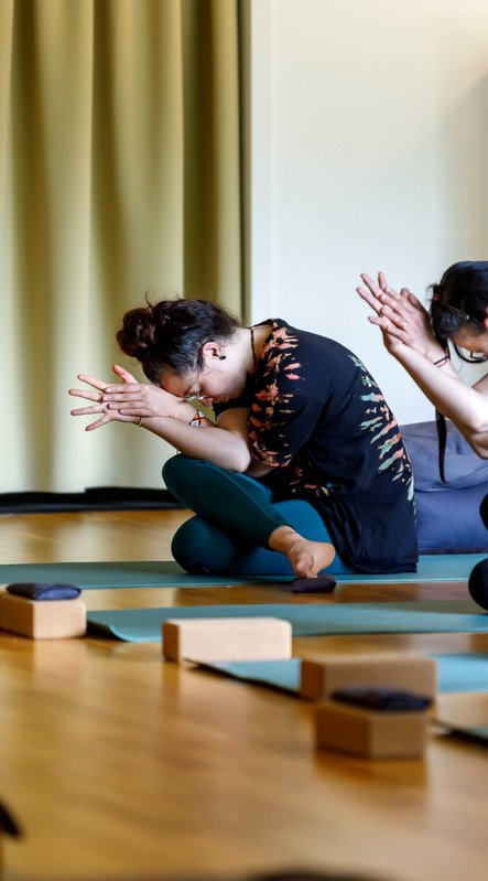 Stages,cours Yoga
