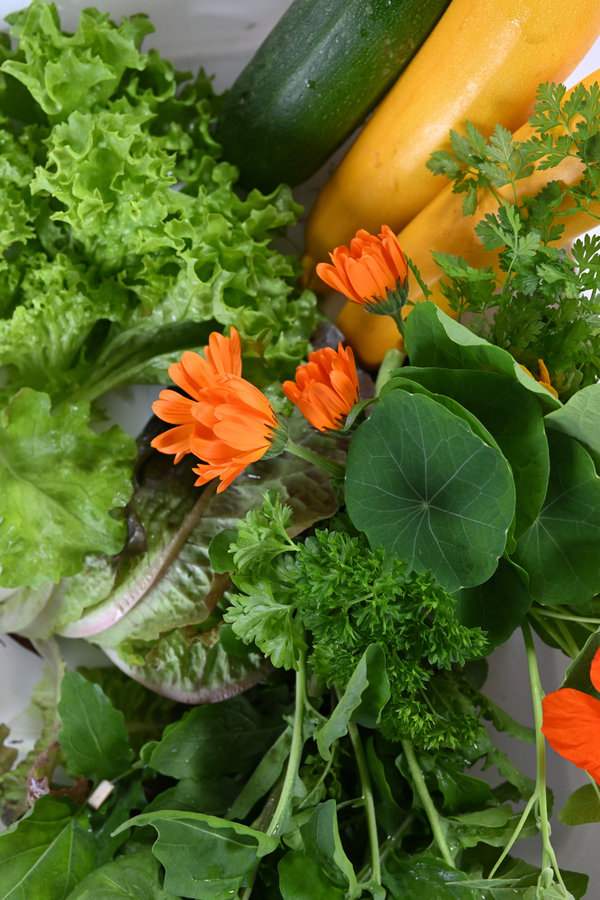 Stages,cours Ateliers Saveurs