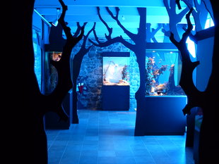 Expositions La Maison Légendes