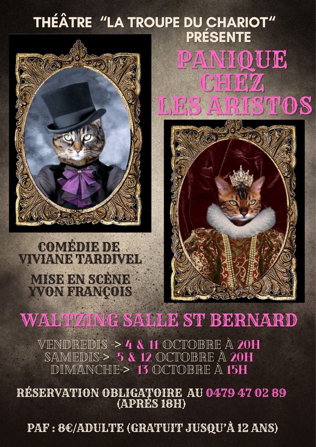 Spectacles Théâtre (humour) Panique chez les aristos Arlon (Luxembourg)