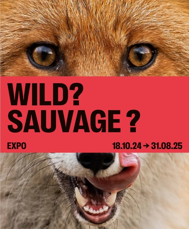 Expositions Expo Sauvage ?
