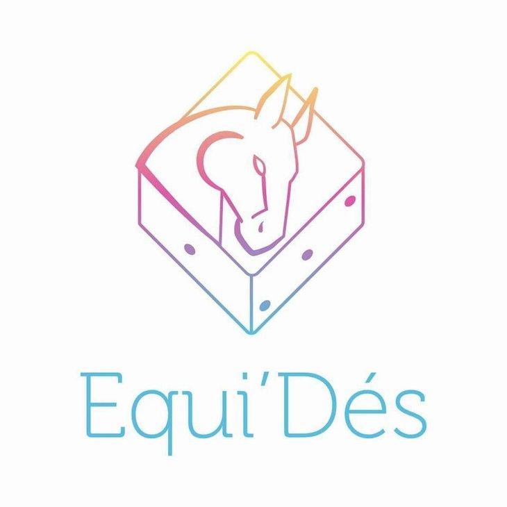 Stages,cours Thérapie avec cheval