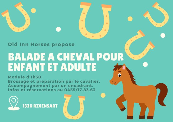 Loisirs Balade Poneys