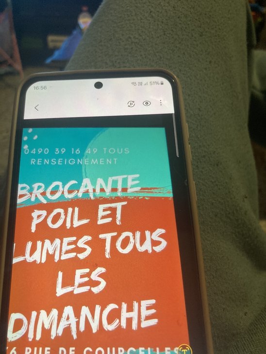  Brocante poil plume