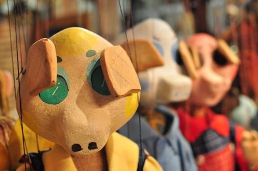 Spectacles Les trois petits cochons