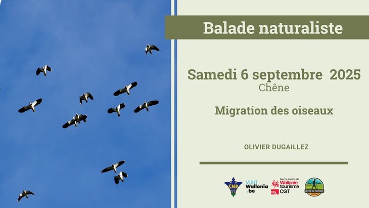 Loisirs Balade naturaliste - Migration oiseaux.