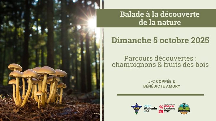 Loisirs Balade découverte la nature - Champignons & fruits bois