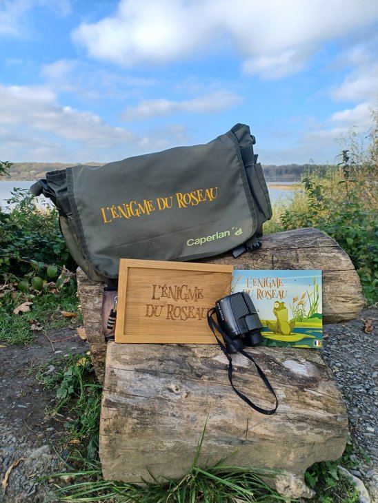 Loisirs L énigme roseau
