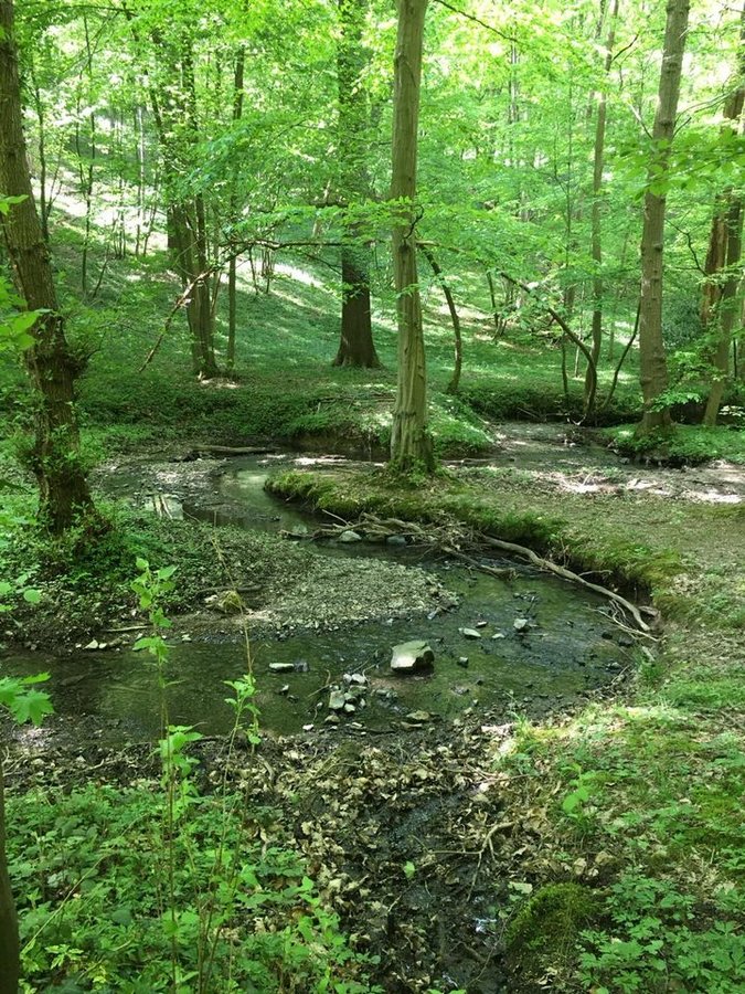 Loisirs Au du ruisseau Colfontaine.