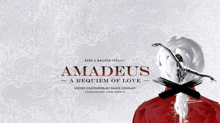 Spectacles AMADEUS