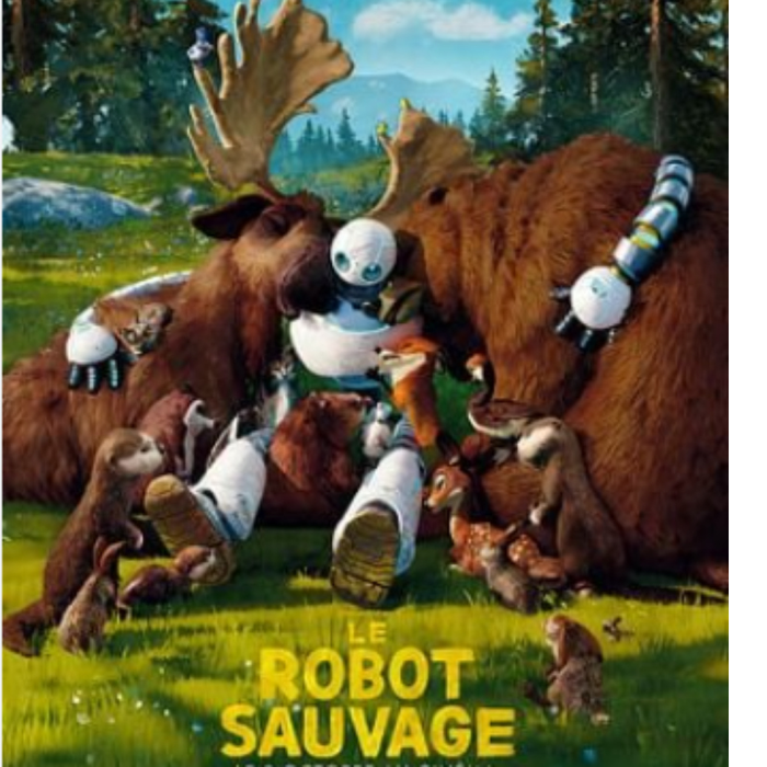Spectacles Le robot sauvage