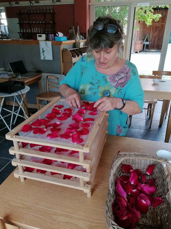 Stages,cours Se soigner les plantes naturellement