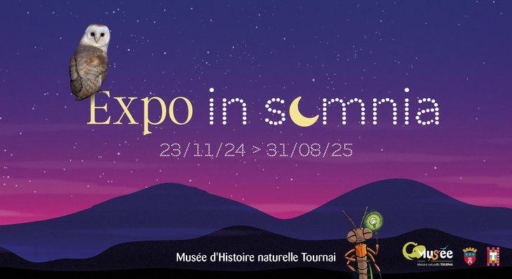 Expositions Exposition  Insomnia 