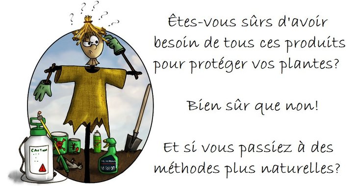 Stages,cours La santé plantes (jardinage naturel)