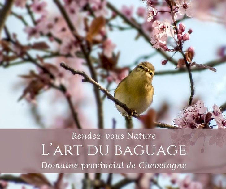 Loisirs Rdv Nature - l art baguage