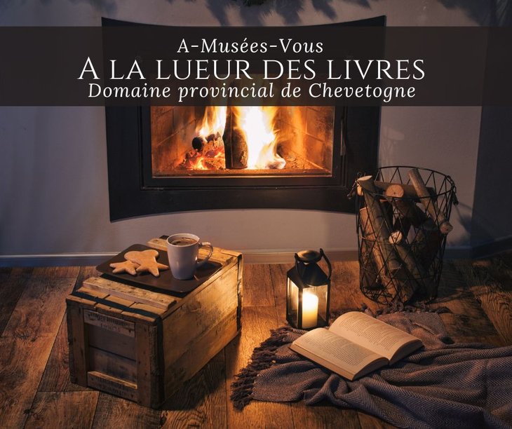 Loisirs A-Musées-Vous la lueur livres