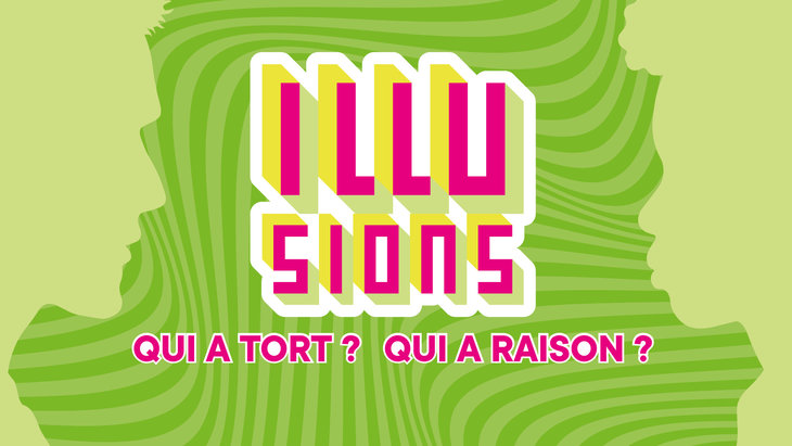 Expositions Illusions. a tort ? a raison ?