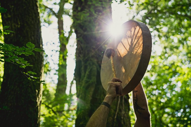 Stages,cours Au rythme la forêt
