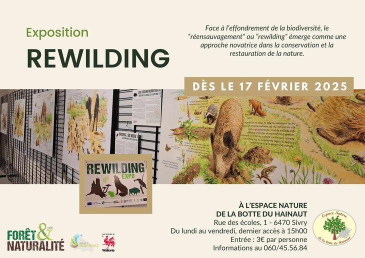Expositions Rewilding