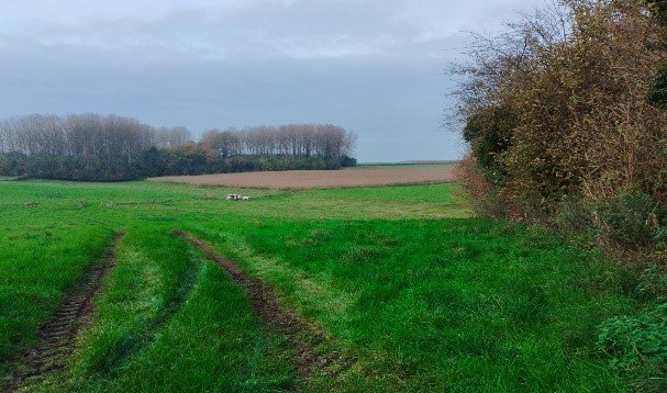 Loisirs Point vert Adeps 49ème Marche Marbriers