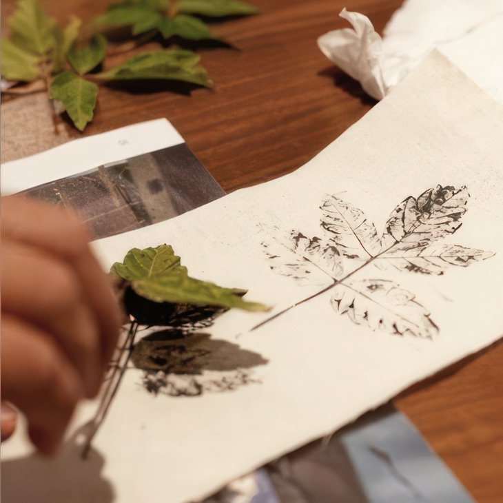 Stages,cours Mercredis  Nature créative  Empreintes végétales