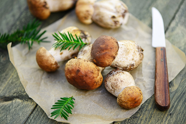 Loisirs Balade gourmande autour champignons