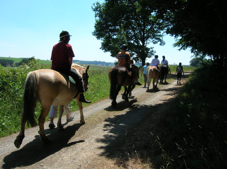 Stages,cours Stage 9 Ferme Automne (Toussaint)