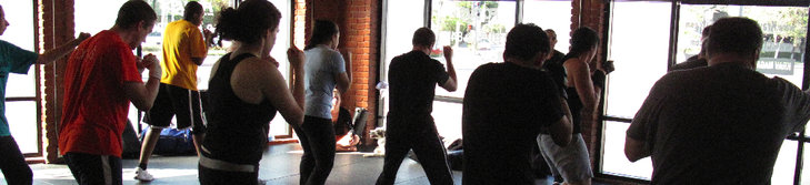 Stages,cours Cours  Dbutant(e)s  Krav Maga/Self Defense