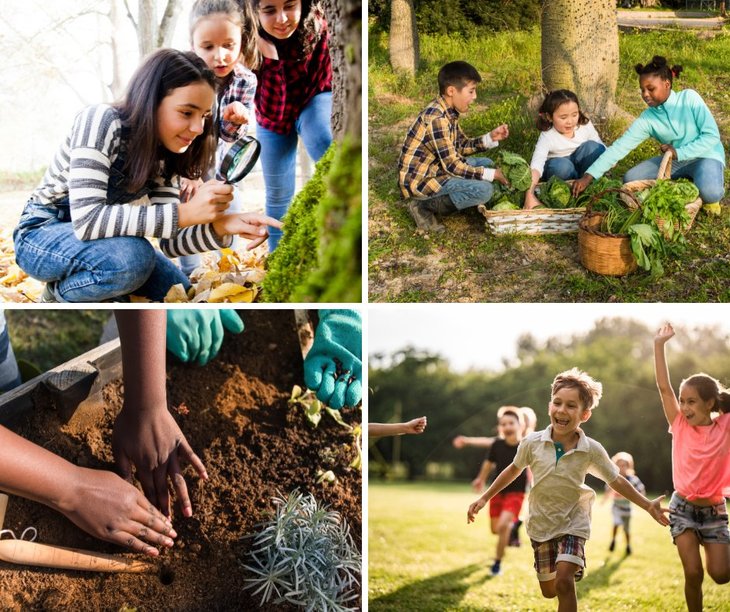 Stages,cours Les petit.e.s naturalistes