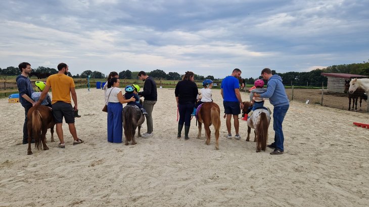 Stages,cours Baby poney Mini équimotricité