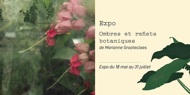 Expositions Exposition Ombres reflets botaniques de Marianne Grooteclaes