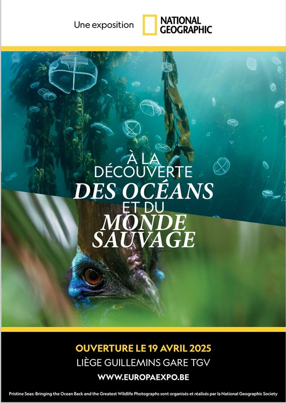 Expositions Exposition National Geographic, la découverte océans du monde sauvage