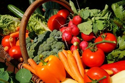 Stages,cours Marché producteurs & artisans locaux