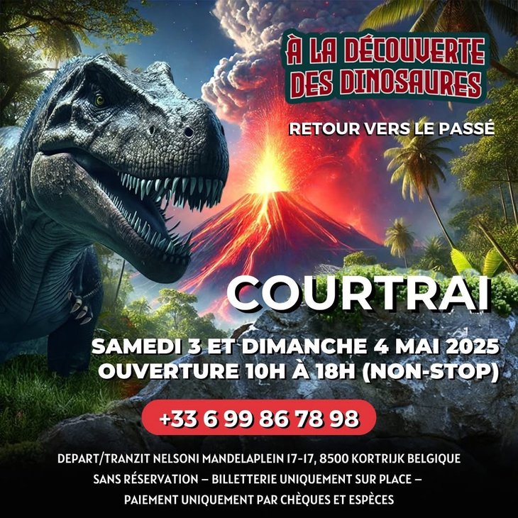 Spectacles Exposition dinosaures
