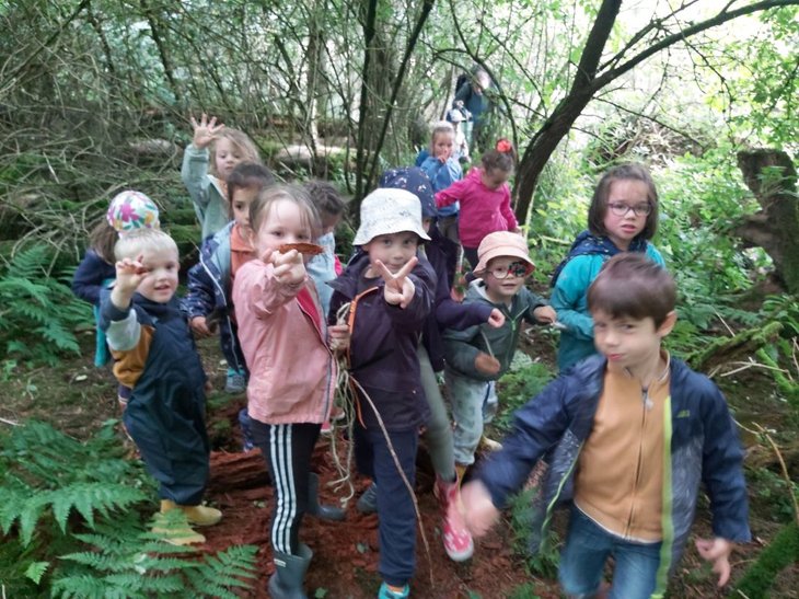 Stages,cours Stage Nature d Automne