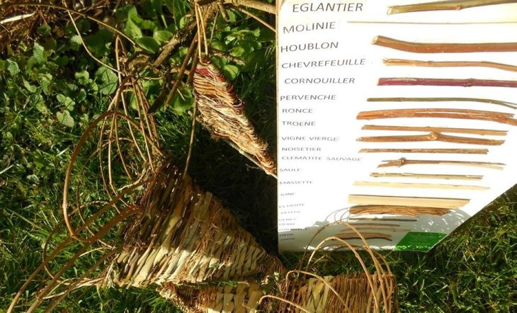 Stages,cours Atelier vannerie sauvage