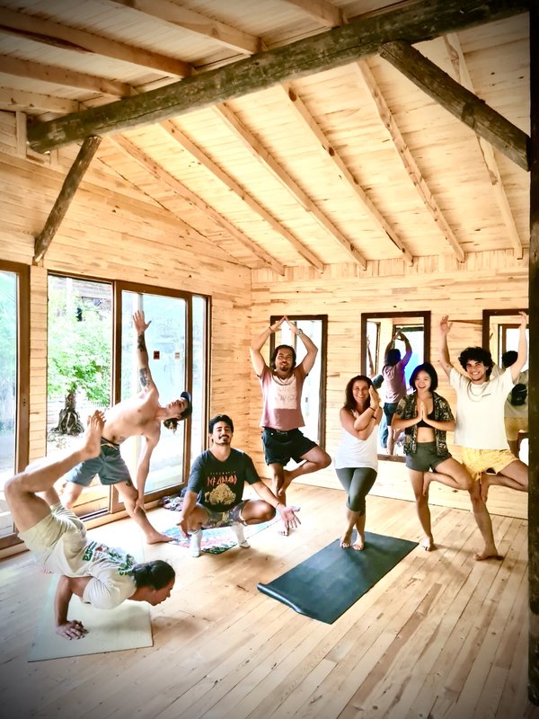 Stages,cours Séances Yoga