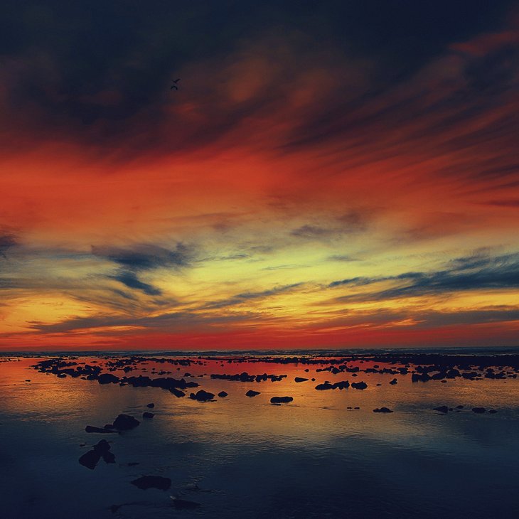 Expositions [Re]naissance (Salon d’Hiver)