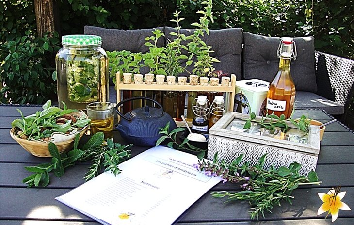 Stages,cours Les bienfaits plantes aromatiques