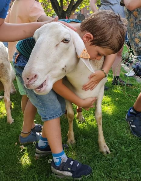 Loisirs Dimanche la Ferme Chant Cailles
