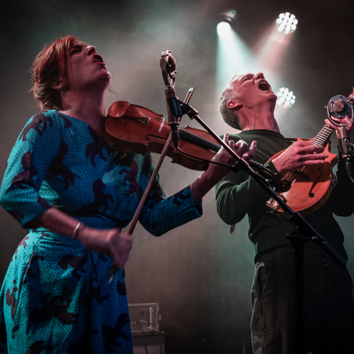 Stages,cours Dhun - Concert folk