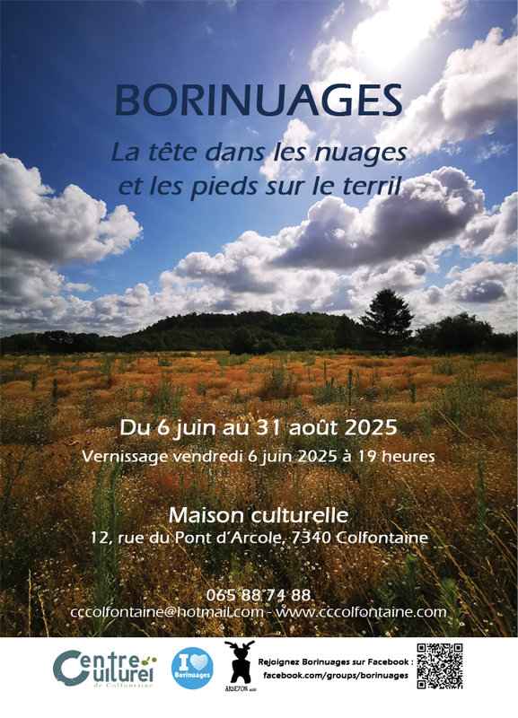 Expositions Borinuages - tête dans nuages les pieds le terril