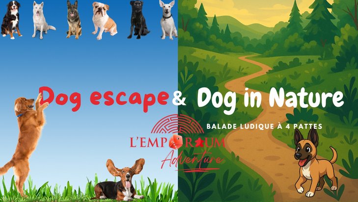 Loisirs Balade canine ludique parcours ou 7km