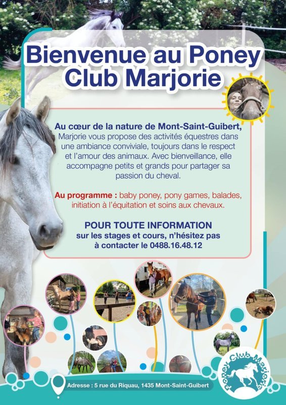 Stages,cours Baby Poney - Initiation l équitation