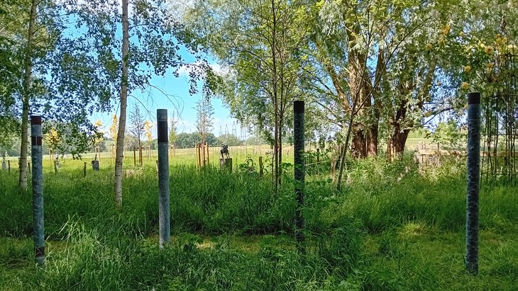 Expositions « Jardin Enchanté s ouvre avec période lumière