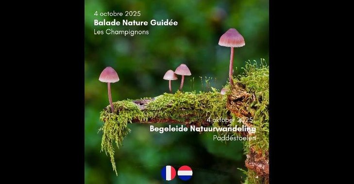 Loisirs Balade Nature Guidée - Champignons