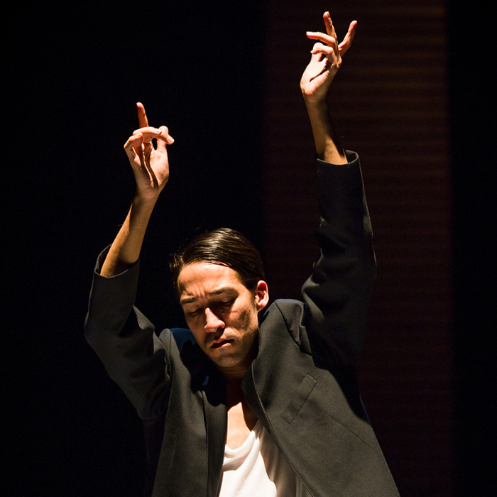 Stages,cours Antigone Sr.