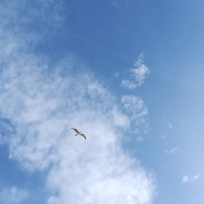 Spectacles Au du ciel