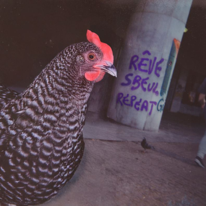 Spectacles Miskine démocratie