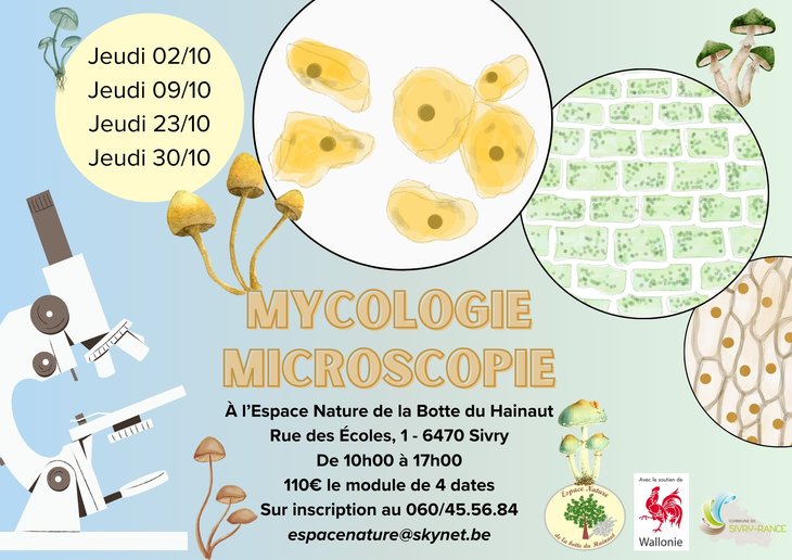 Stages,cours Mycologie : formation microscopie